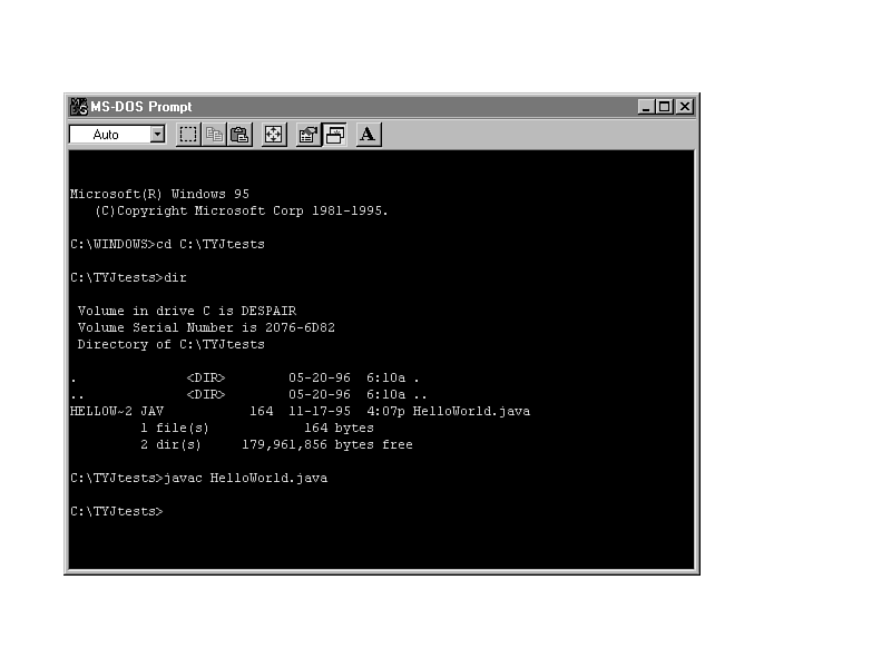 ms dos shell. Java in the DOS shell.